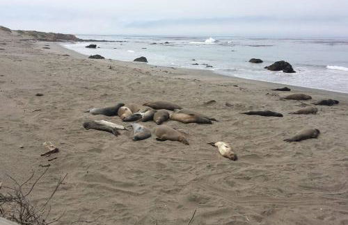 Harbor House in Morro Bay - Foto 19