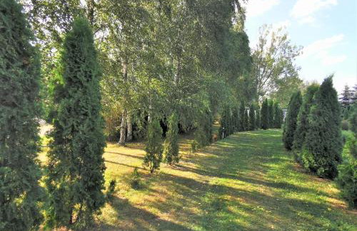 Brzozowe Zacisze - Foto 39