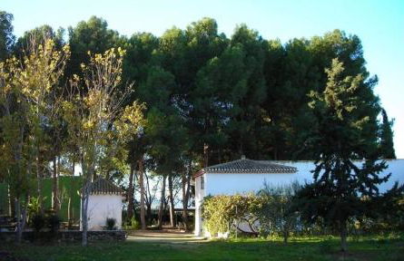 Casica de Hellín - Foto 27