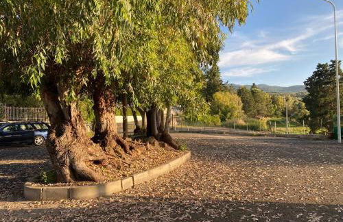 Villetta sul Mare - Foto 77