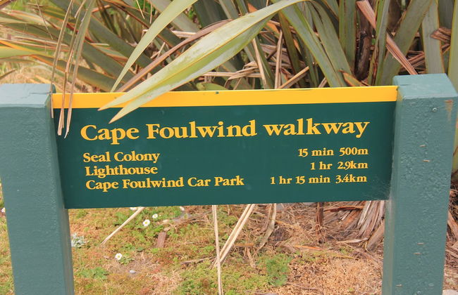 Carters Beach Holiday Studios - Foto 34