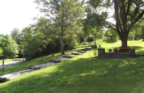 Ferienwohnungen Gibbert - Foto 21