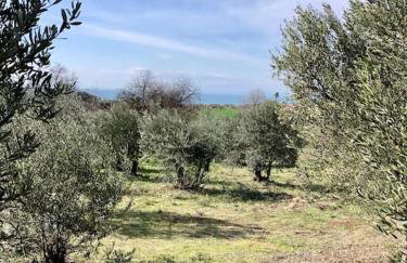 Summer house Spiti Pirgos - Foto 26