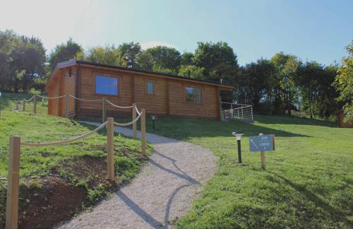 Viaduct Fishery Lodges - Foto 63