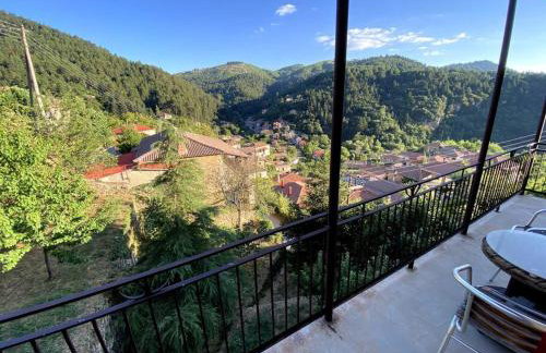 Το Aρχοντικό των Τσιντζίνων - Foto 1