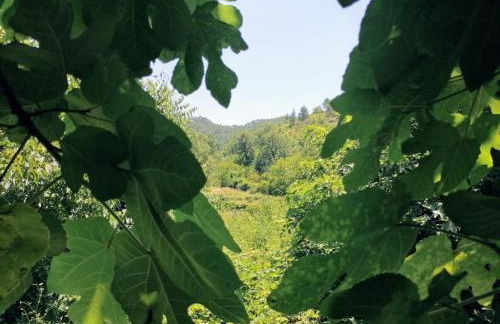 La Casirria - Foto 53