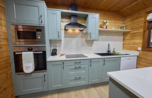 Luxury Wood Lodge with sauna, log burner & private woodland garden - Wnion Wood Lodge - Foto 7