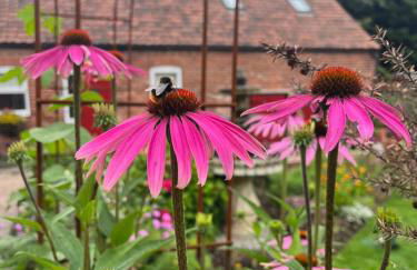 Home Farm & Lodge - Foto 26