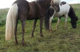 Haus Am Sonnenberg - Photo 26