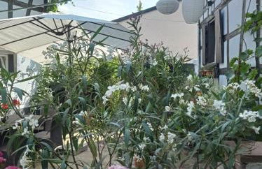 La Cigogne dorée Gite de charme 4 étoiles - Foto 3