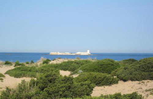 La casita del sopapo - Foto 48