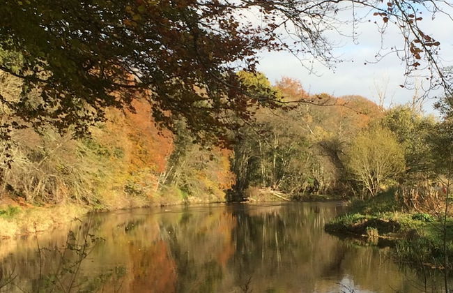 Netherton Farm Lodge - Foto 41