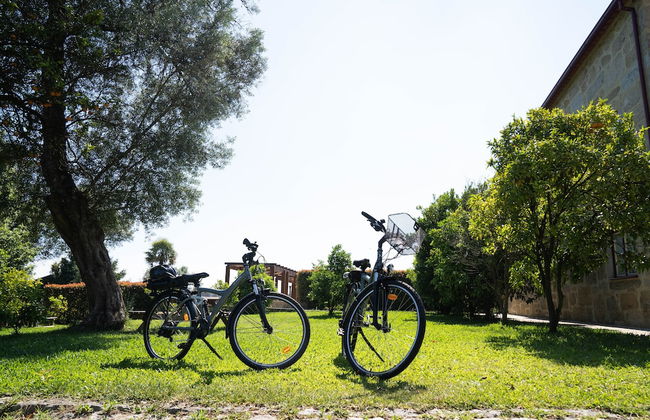 Casa Lata - Wine & Tourism - Photo 40