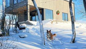 Powidoki Mazury - Foto 2