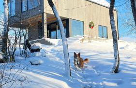 Powidoki Mazury - Foto 2