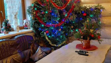 Chatka Ustrzyki - Foto 5