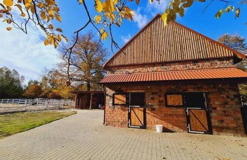 Ranczo Popowice - Foto 5