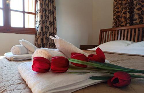 Μπαλκόνι του Αιγαίου father's house in Kimi - Photo 44