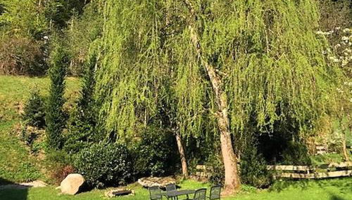 Waldbauernhof - Foto 5