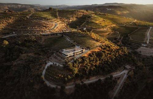 Quinta Vale das Papas - Foto 67