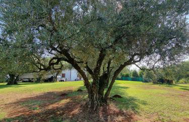 Apartment Pharos - Foto 26