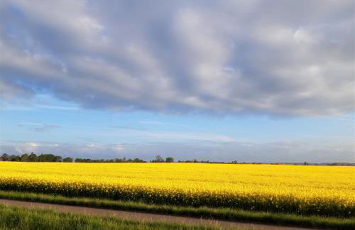 Eine schöne 3-Zimmer-Wohnung mit Ostsee-Zugang! - Foto 21