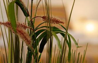 Modern 2-Bed Apt, Late check in available - Photo 5