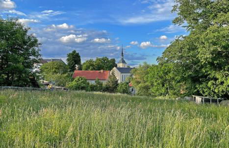 Ferienwohnung-Am-Suedhang - Foto 18