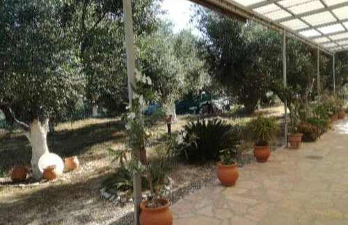 Sunny holiday home - Foto 9