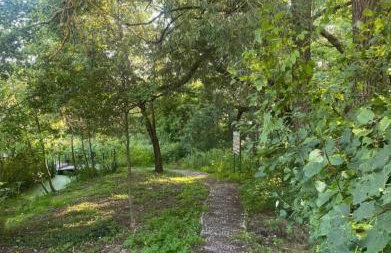 Agro Komfort - Foto 14