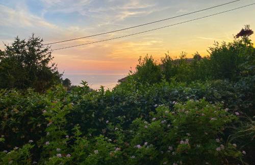 Il Nido sullo Scoglio - Foto 20