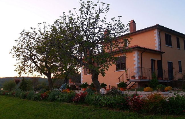 Agriturismo I Lapi - Foto 43