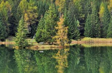 Appartamento LA REGINA un dolce rifugio tra api e natura - Photo 12