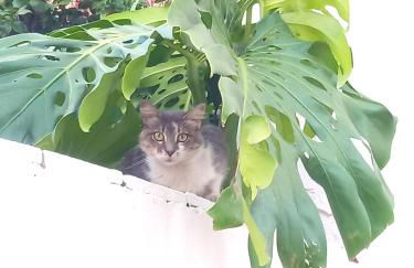 Etna&Sea Luxury downtown house - Foto 31