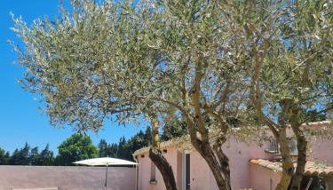 Tylyan - Foto 3, Garden