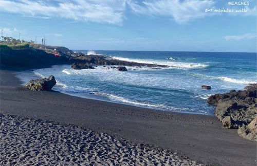 Inspirational apartment - to rest & to work - Photo 13