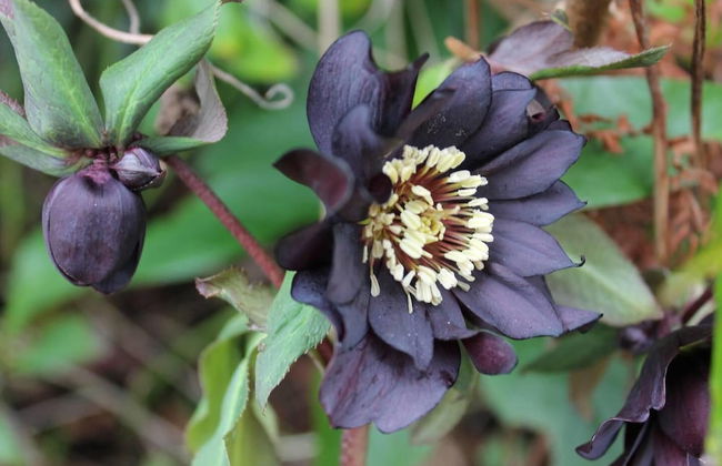 Relaxing pet Friendly 2-bed Cottage in Rhandirmwyn - Foto 24