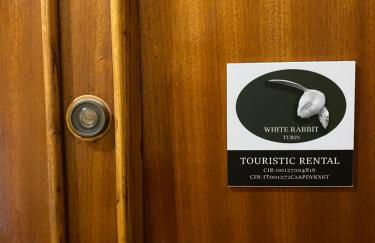 Attico White Rabbit - Foto 9