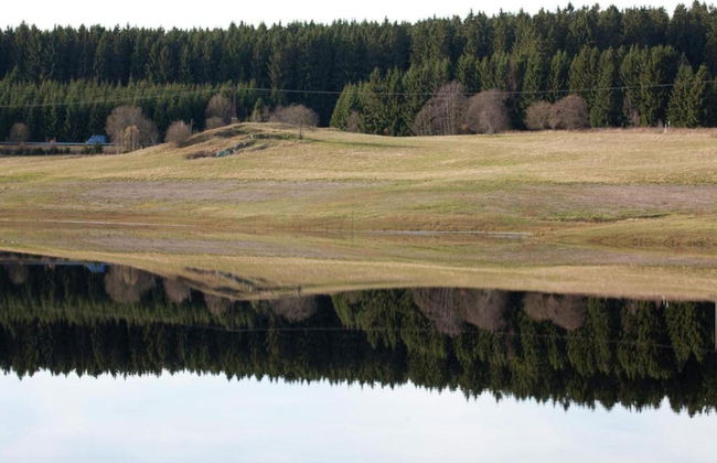 Apartment in Harz With Terrace and Fireplace - Photo 31