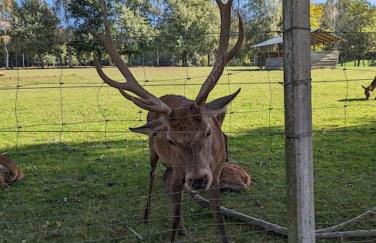 ApartmentLochbrücke - Foto 6