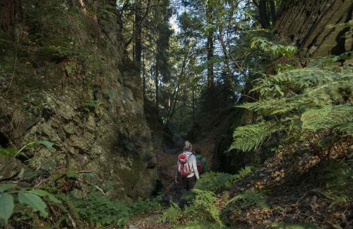 Ferienwohnung Dick - Foto 14