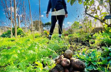 Dernier Ecolodge avant NewYork - Foto 41