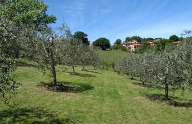 Vigna del Poggio - Foto 38