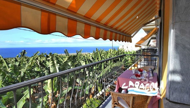 Caracol "trail Mountain La Palma" - Junto a Trébol - Foto 2, Imagen principal