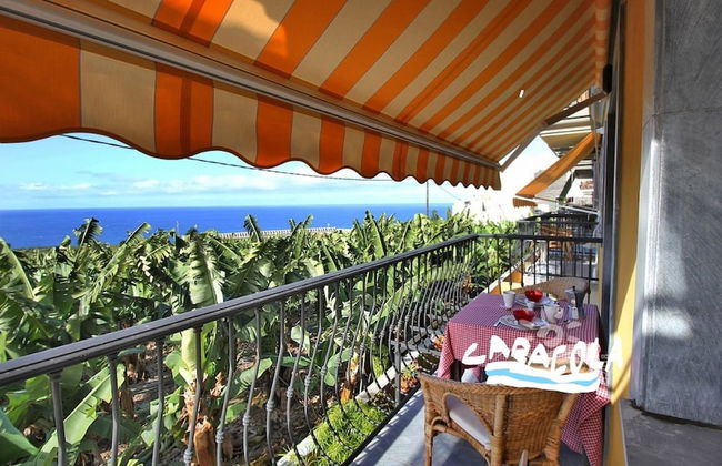 Caracol "trail Mountain La Palma" - Junto a Trébol - Foto 1