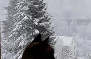 Cozy apartment - Foto 1