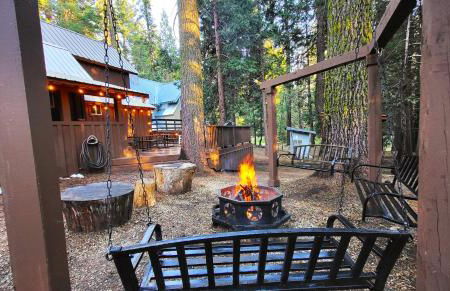 Sequoia Splendor, inside Kings Canyon NP by Visitors Center - Foto 59