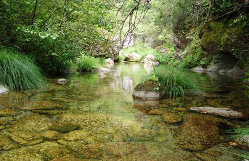 Recanto da Neta - Foto 34