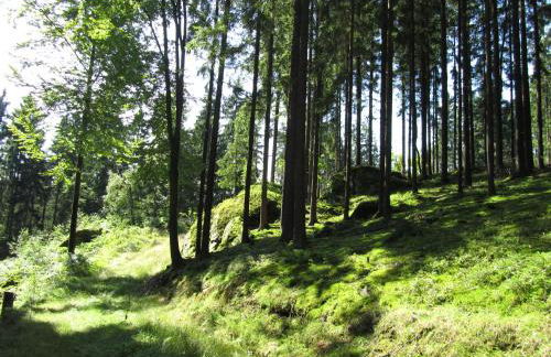 Ferienhaus Zopfhäusl - Foto 36