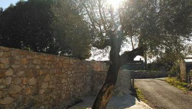 Casa da Figueirinha - Foto 4